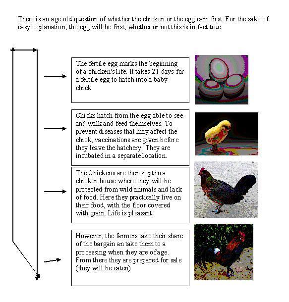 chickencycleemp.jpg